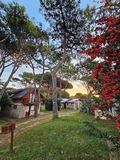 Casa en venta y alquiler 7 ambientes