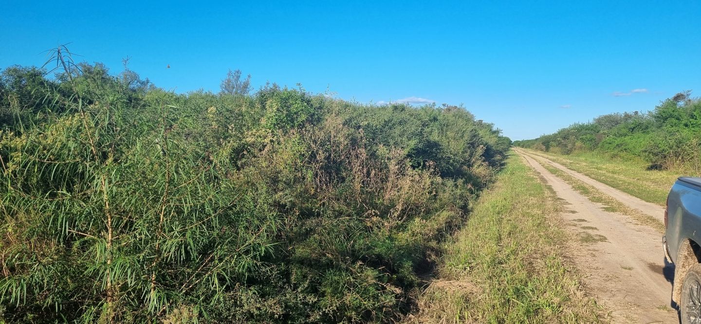 Campo EN VENTA