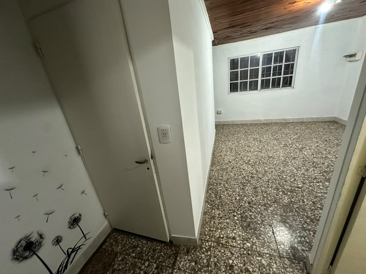 Imagen 6