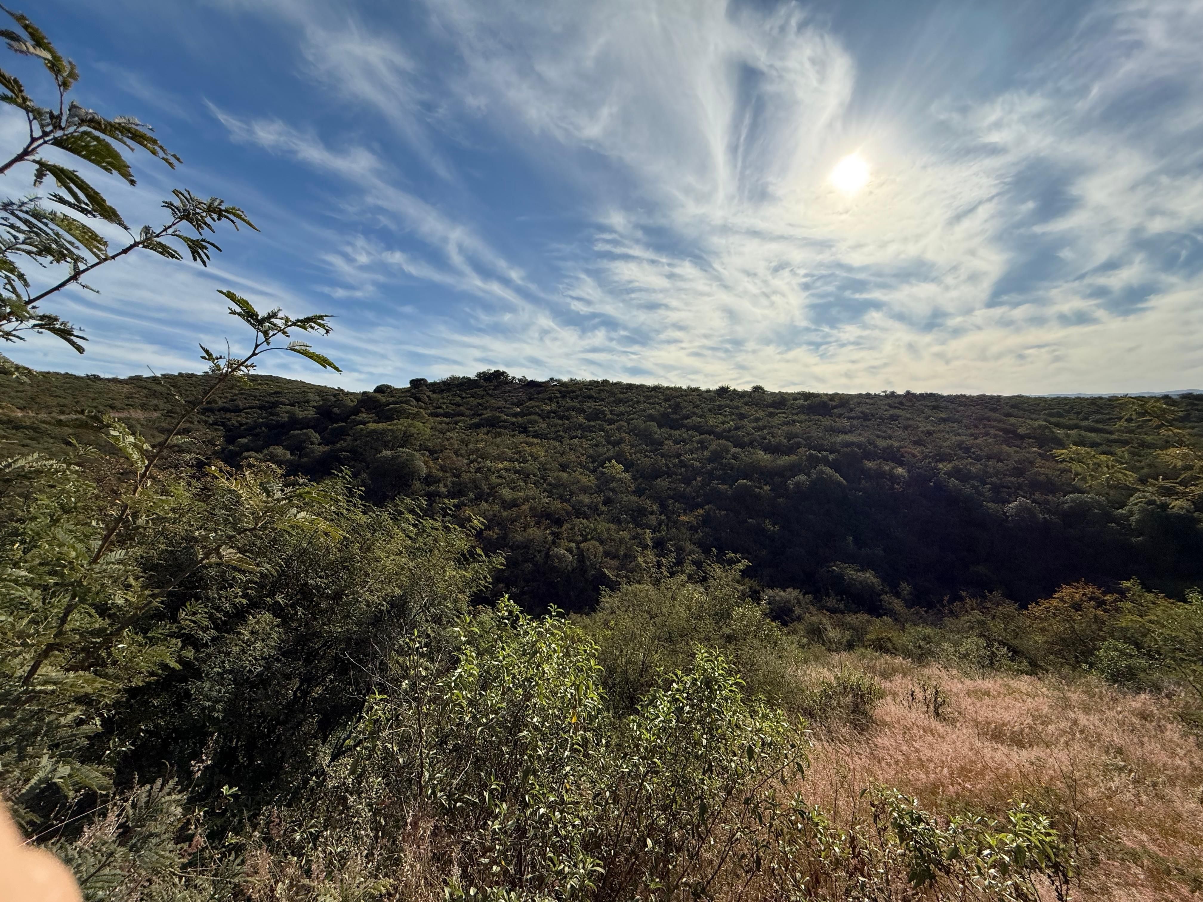 Lote EN VENTA