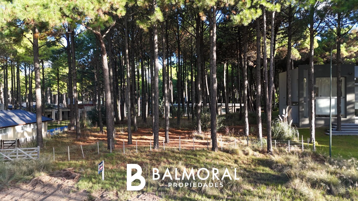 Lote EN VENTA