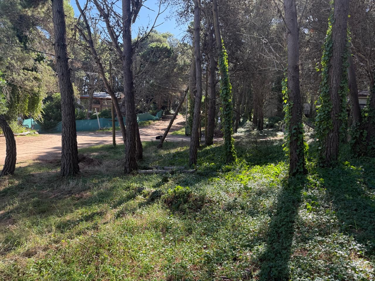 Lote EN VENTA