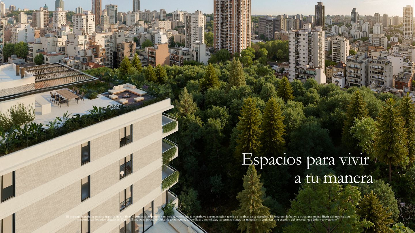 Imagen 5