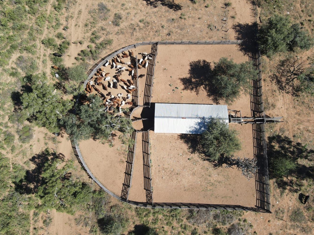 Campo en venta Zona Tte. Enciso 