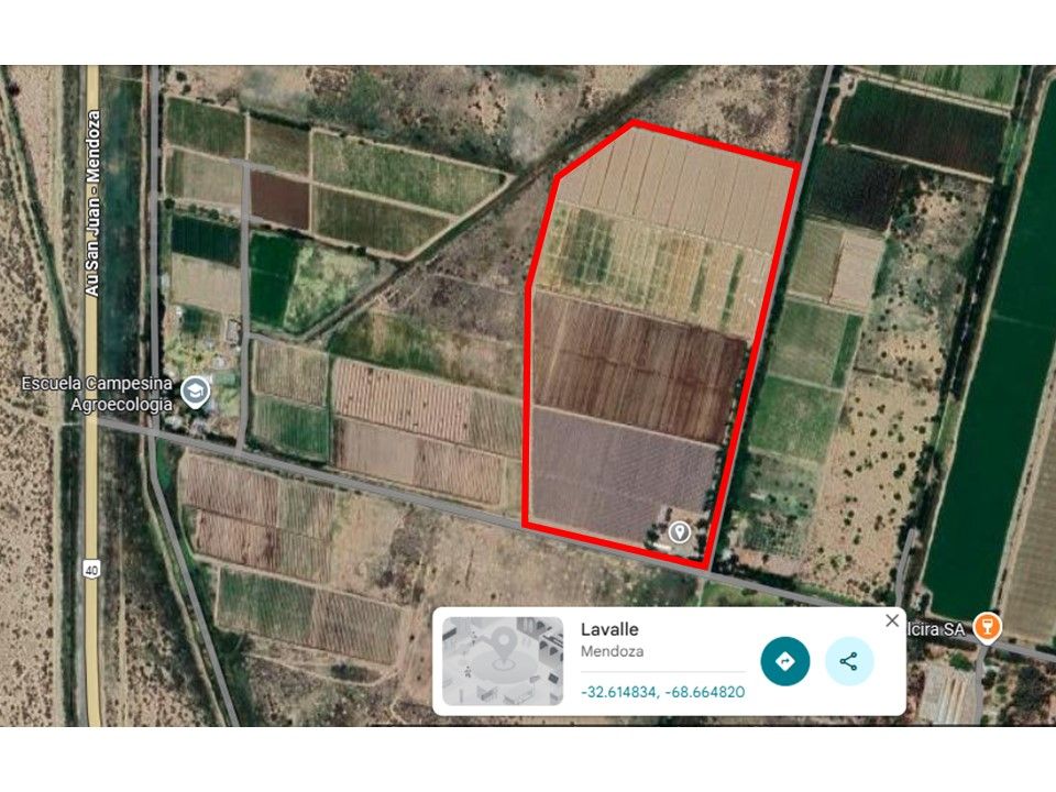 Casa Quinta en Venta en Lavalle, Mendoza