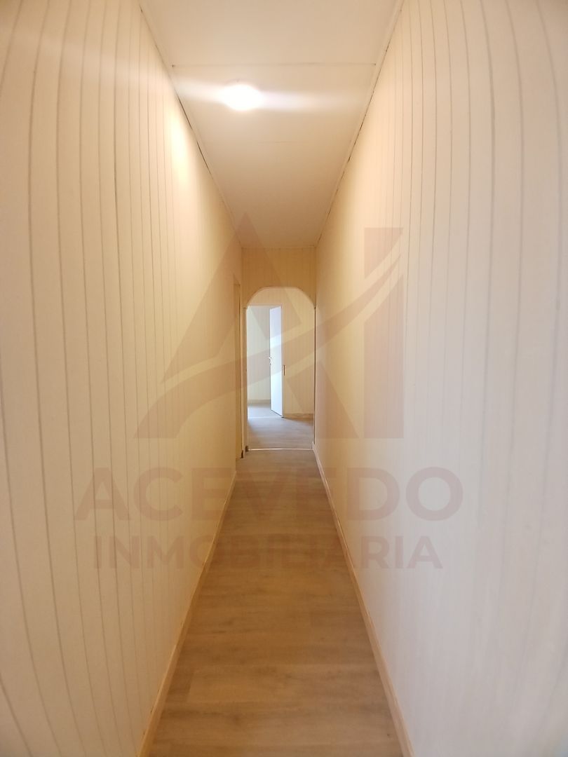 Imagen 11