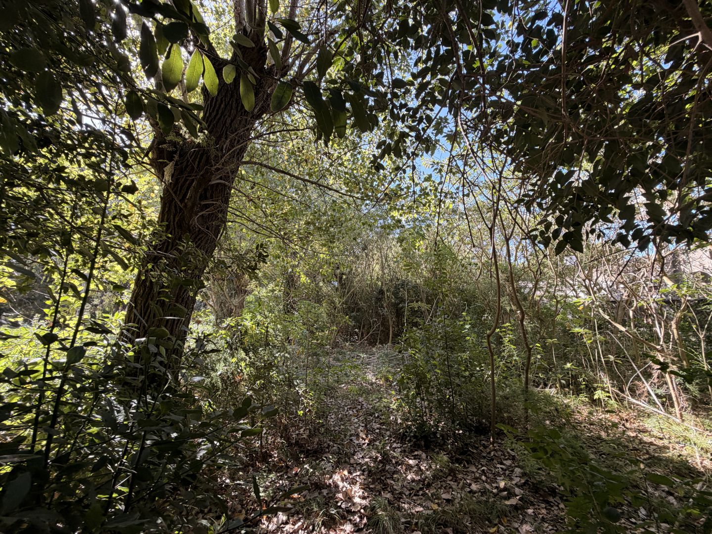 Lote EN VENTA
