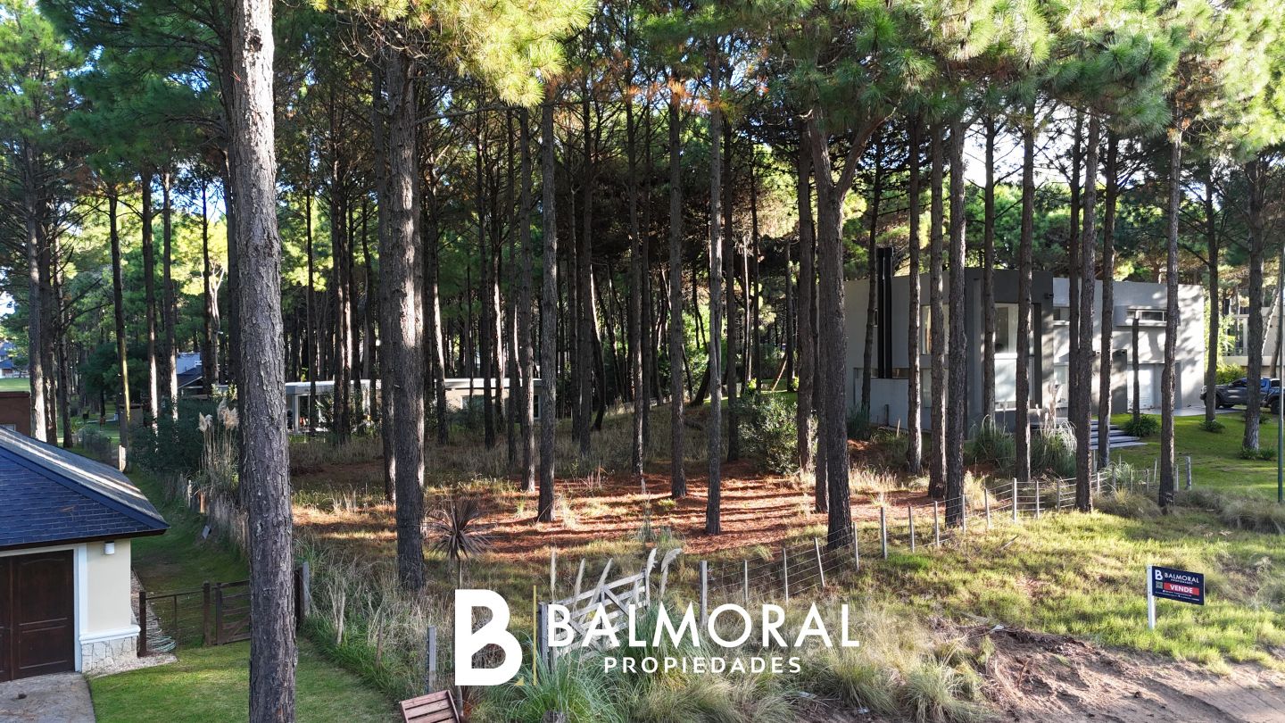 Lote EN VENTA