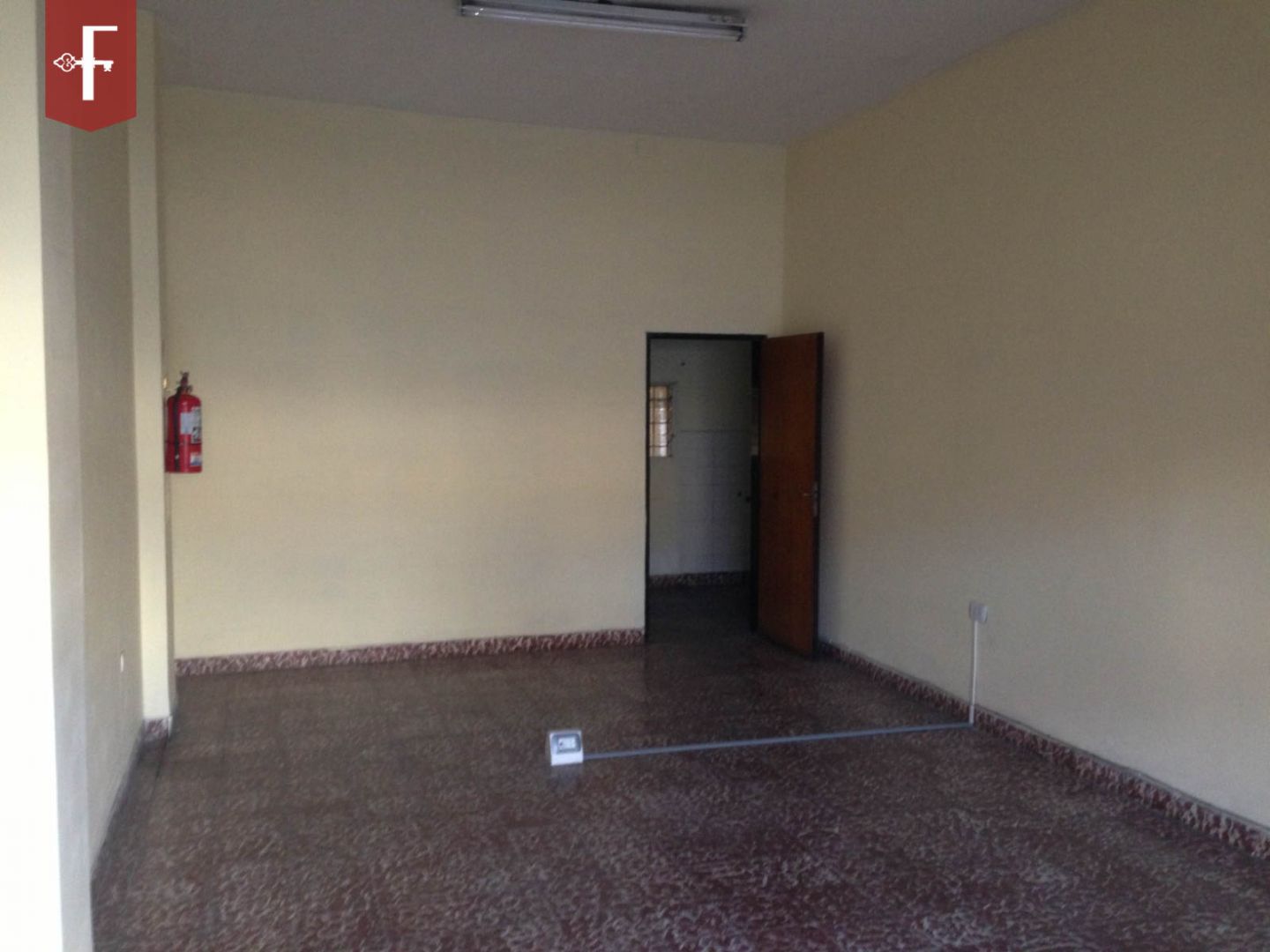 Imagen 4