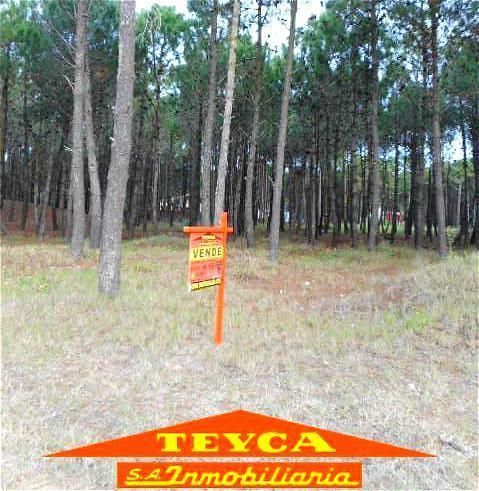 Lote en venta Norte 0 ambientes