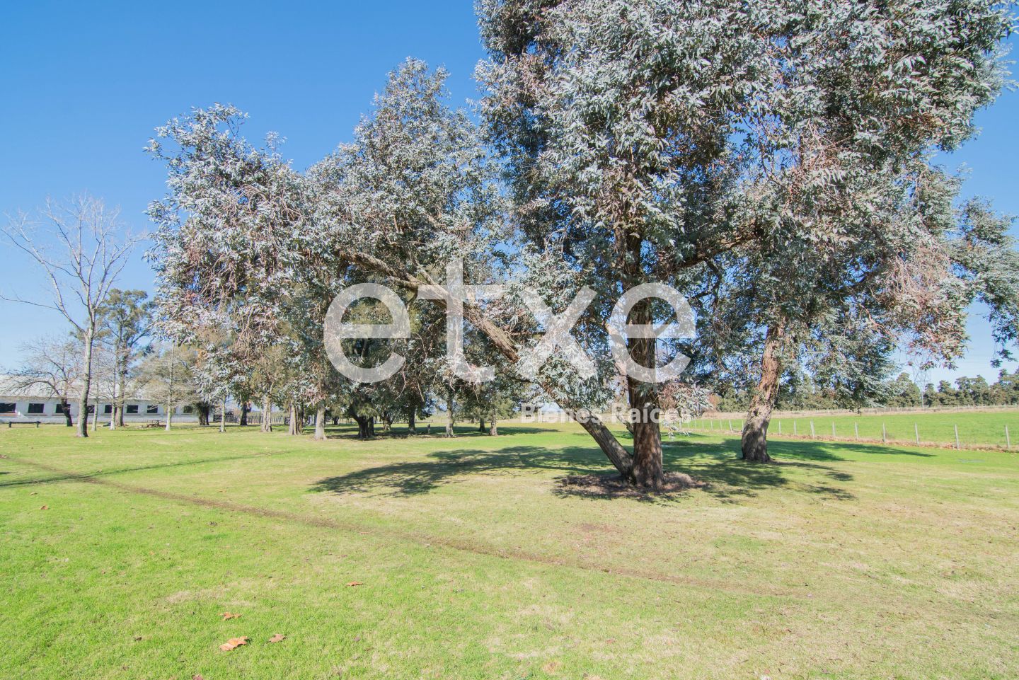 Campo EN VENTA