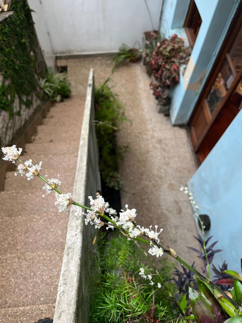 VENTA DE DEPARTAMENTO EN Capital Federal - Villa Crespo - 21