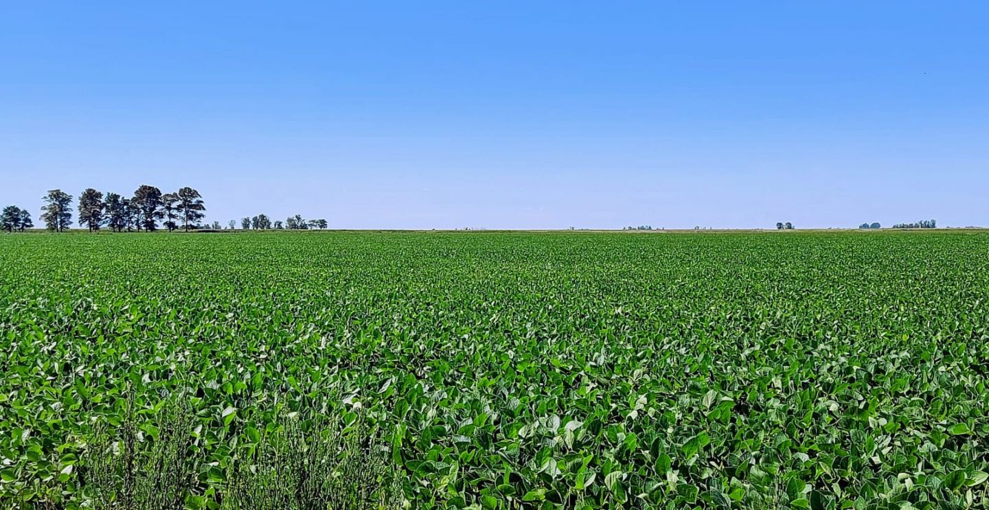 Campo EN VENTA