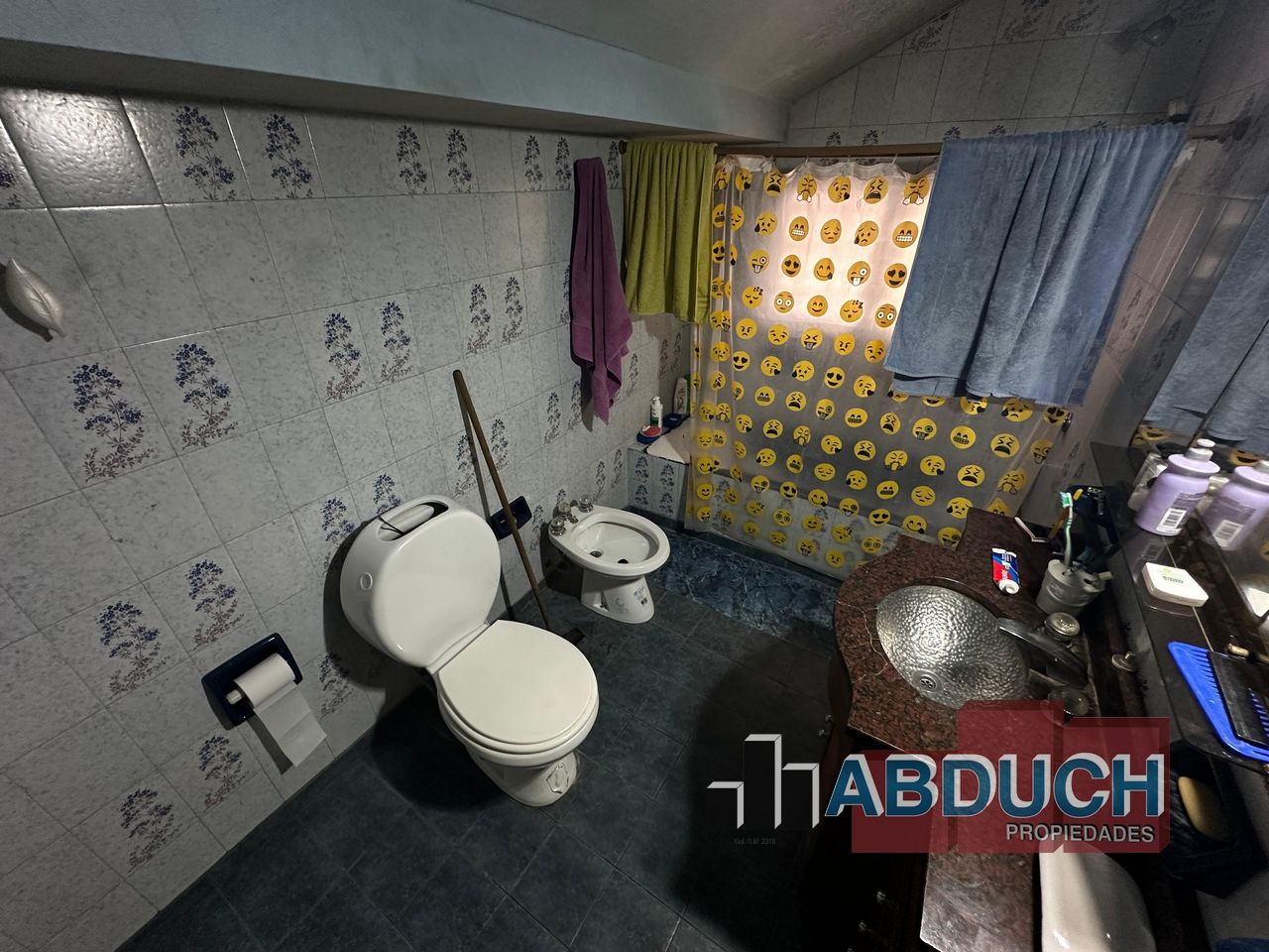Imagen 26