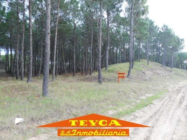 Lote en venta Norte 0 ambientes