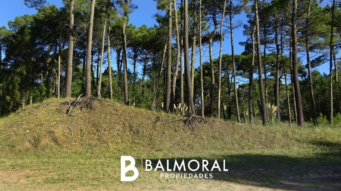 Lote EN VENTA