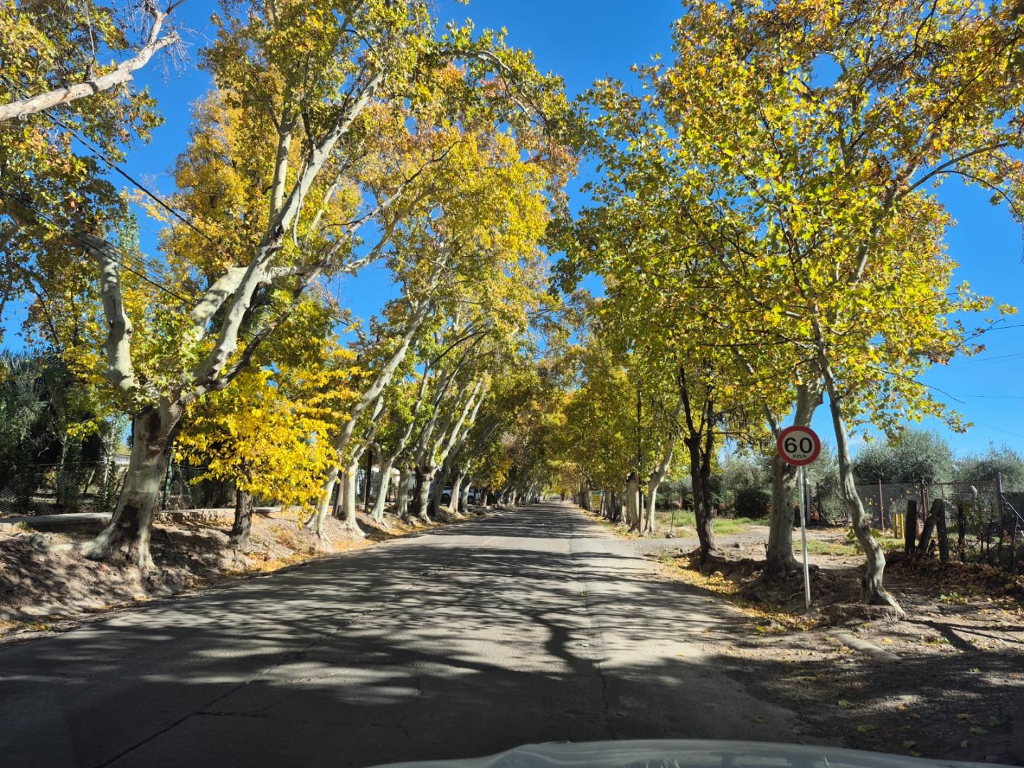 Lote en Venta en Maipu, Mendoza