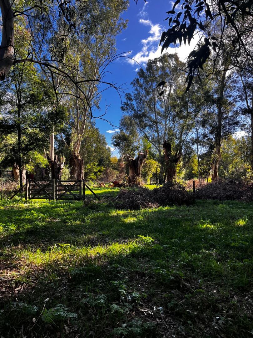Lote EN VENTA