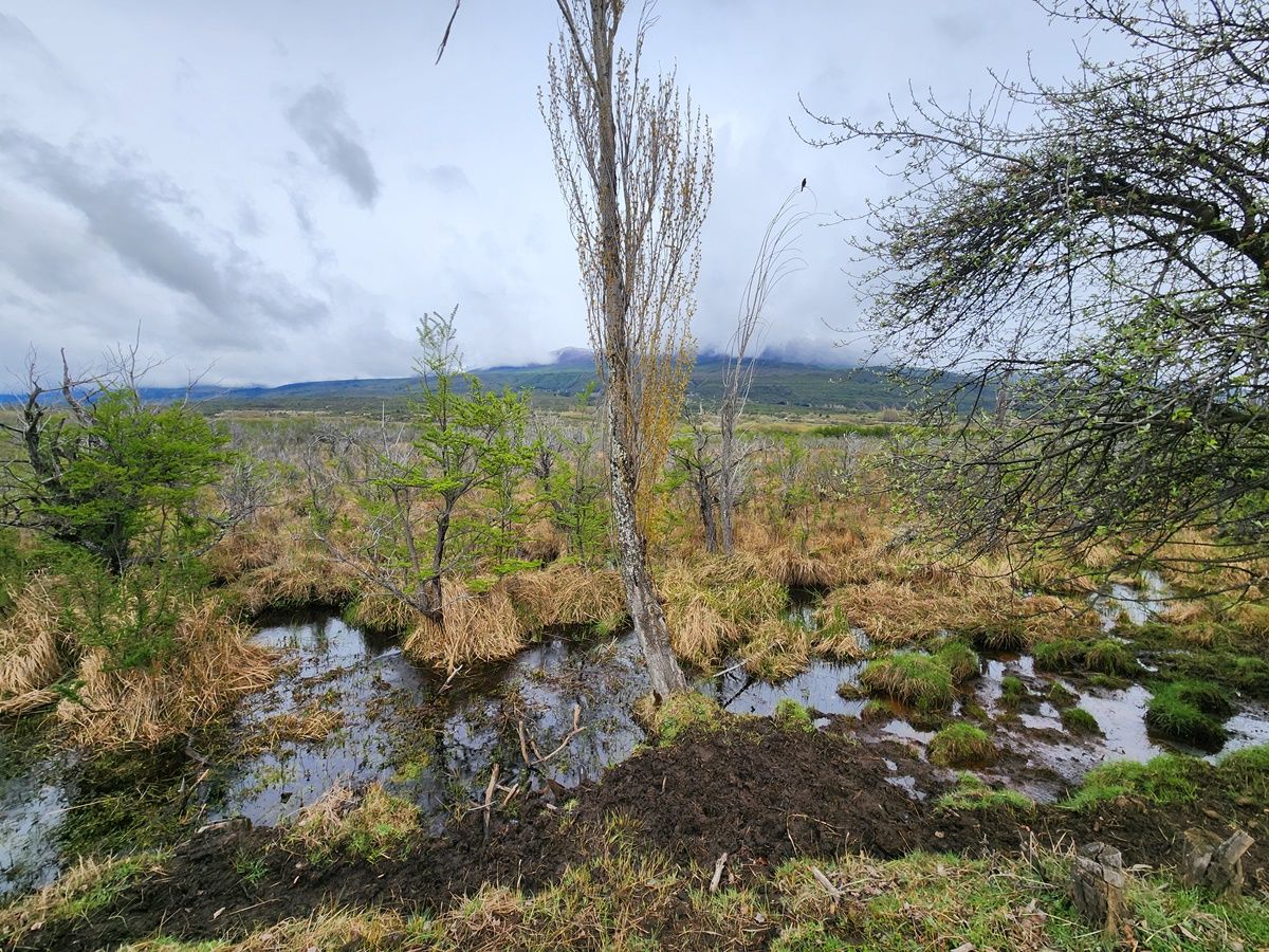 Campo EN VENTA