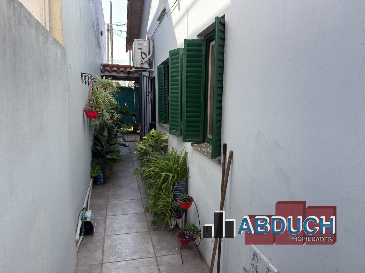 Imagen 11