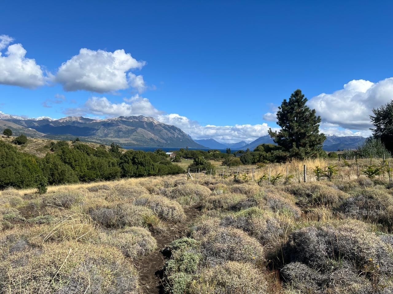 Lote en Venta en Huiliches, Neuquen