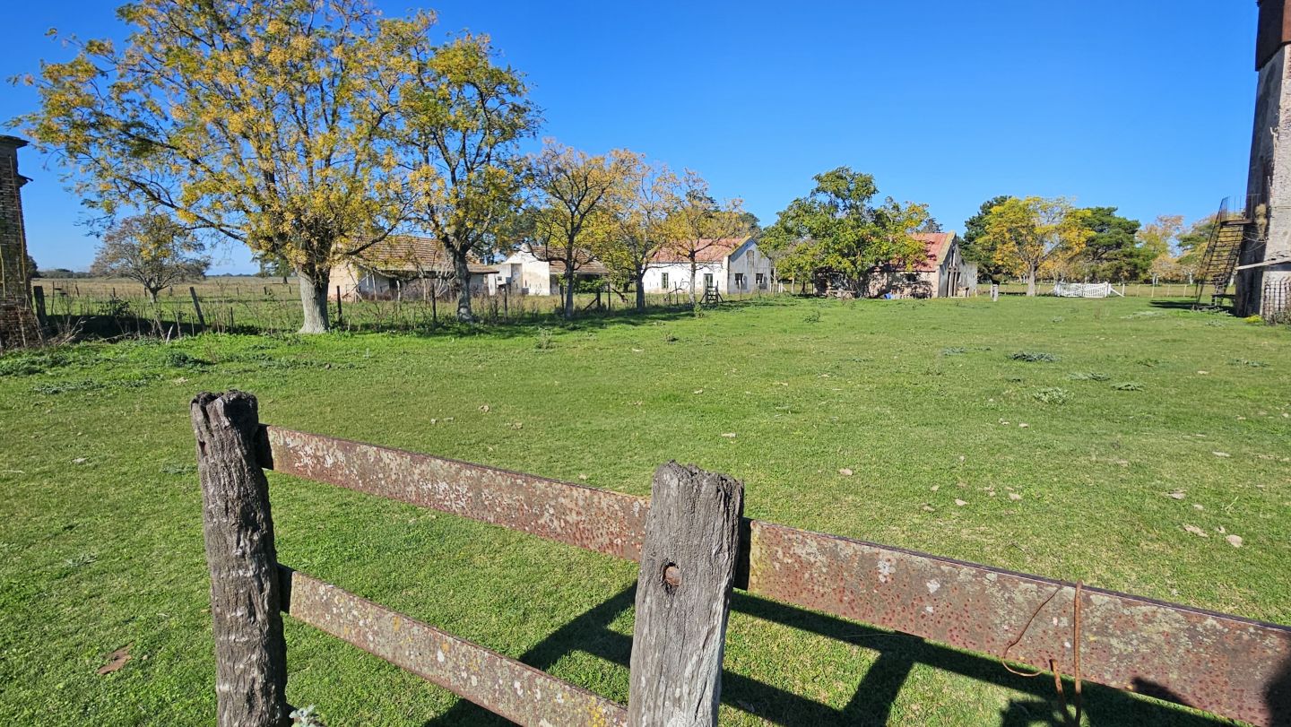 Campo EN VENTA