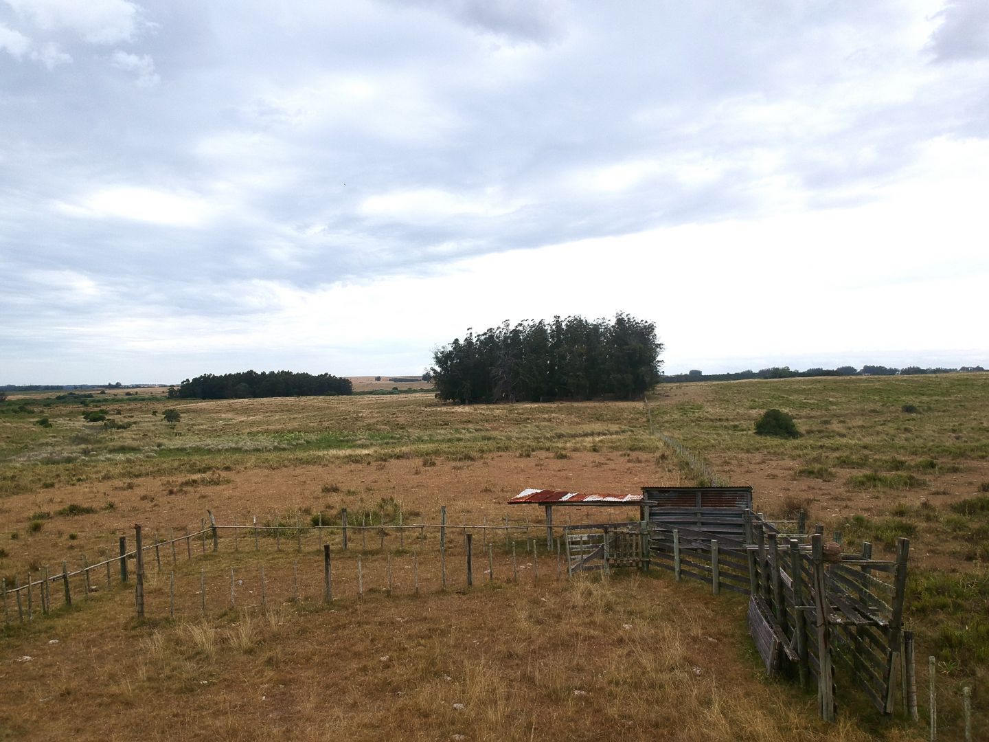 Campo EN VENTA