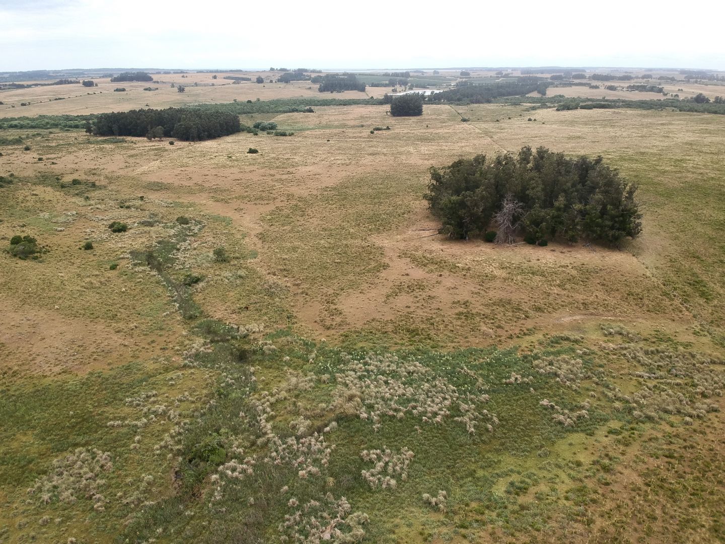 Campo EN VENTA