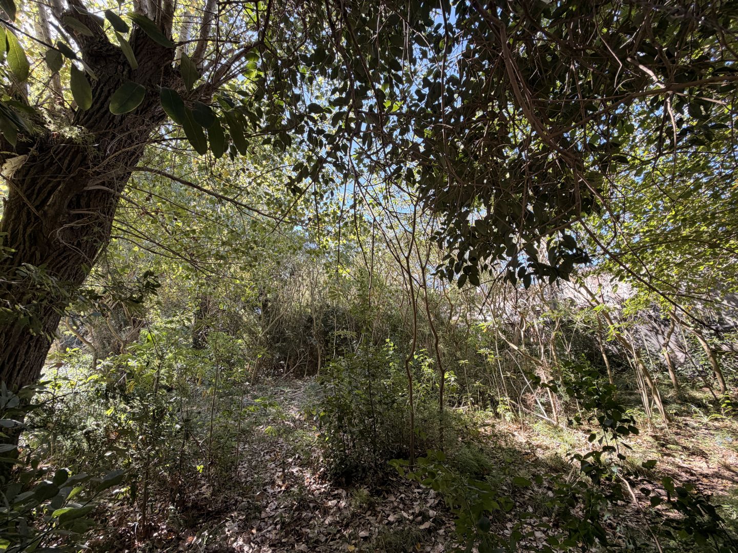 Lote EN VENTA
