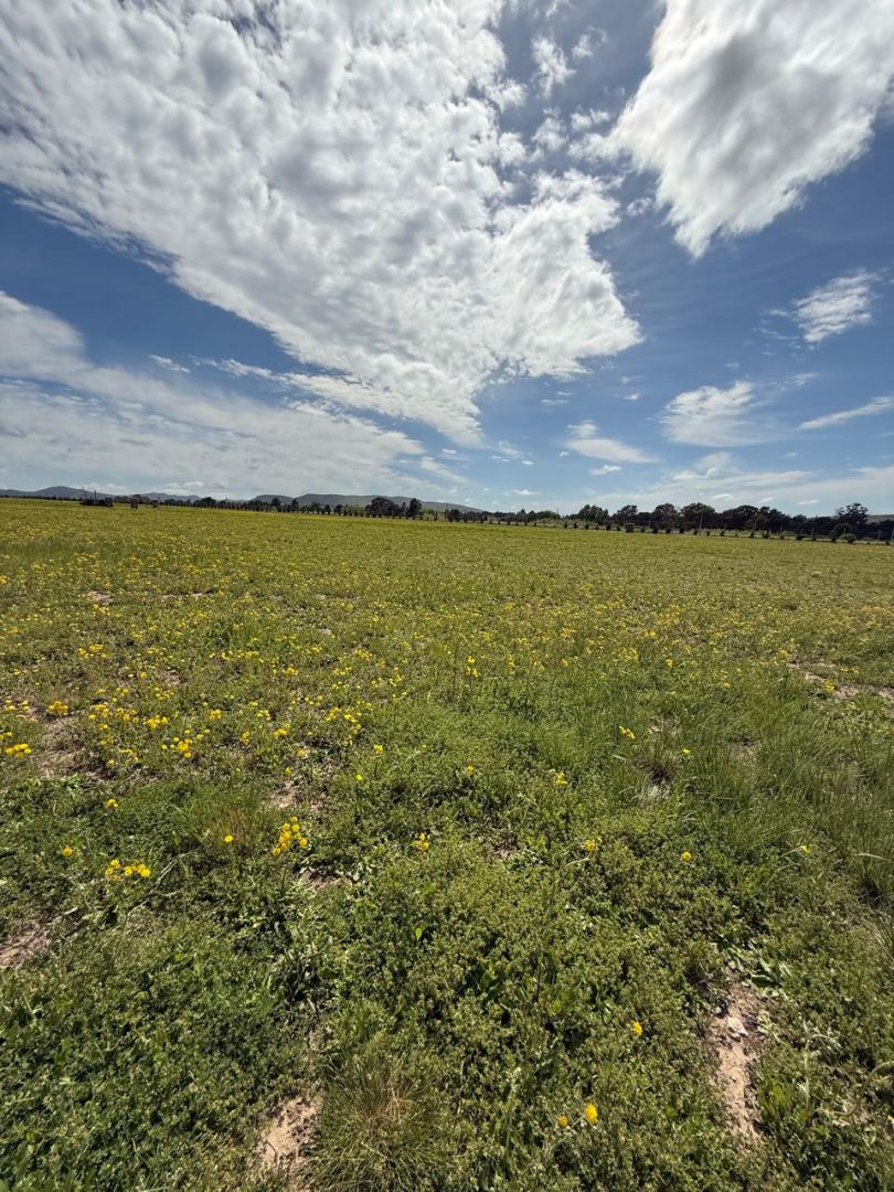 Lote EN VENTA