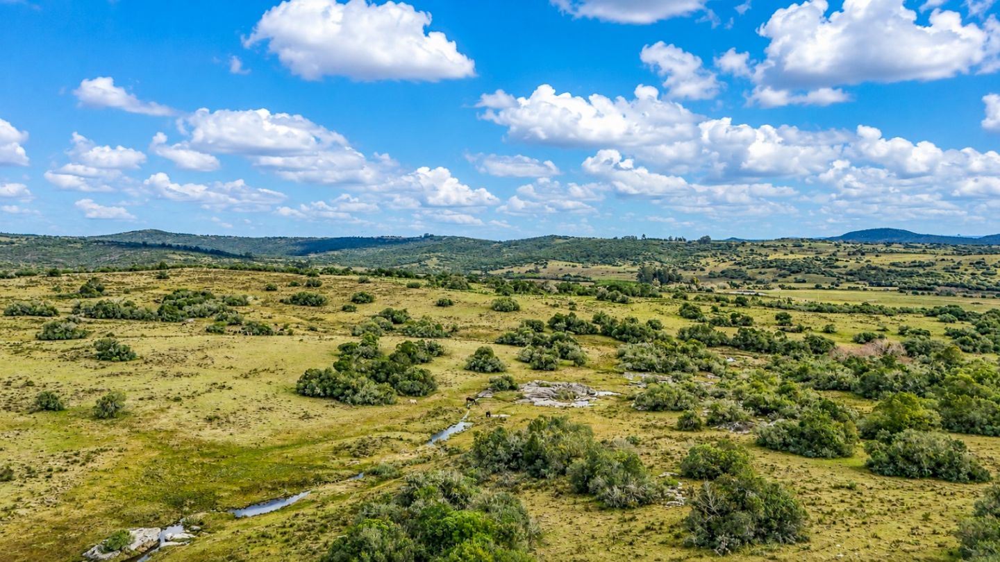 Chacra en venta Aigua