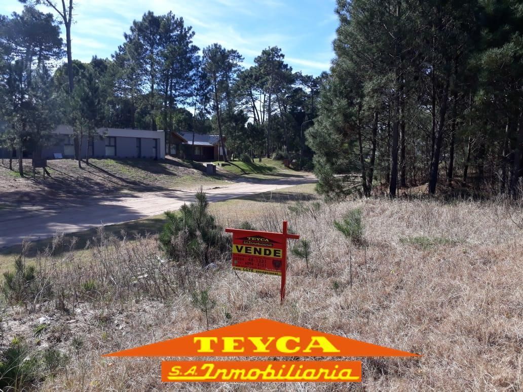 Lote en venta Alamos 0 ambientes