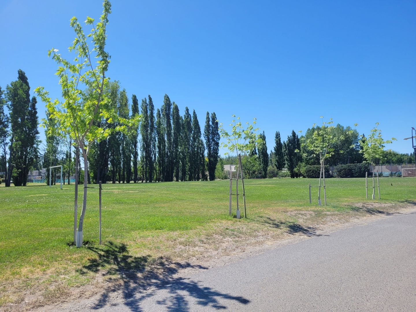 Lote EN VENTA