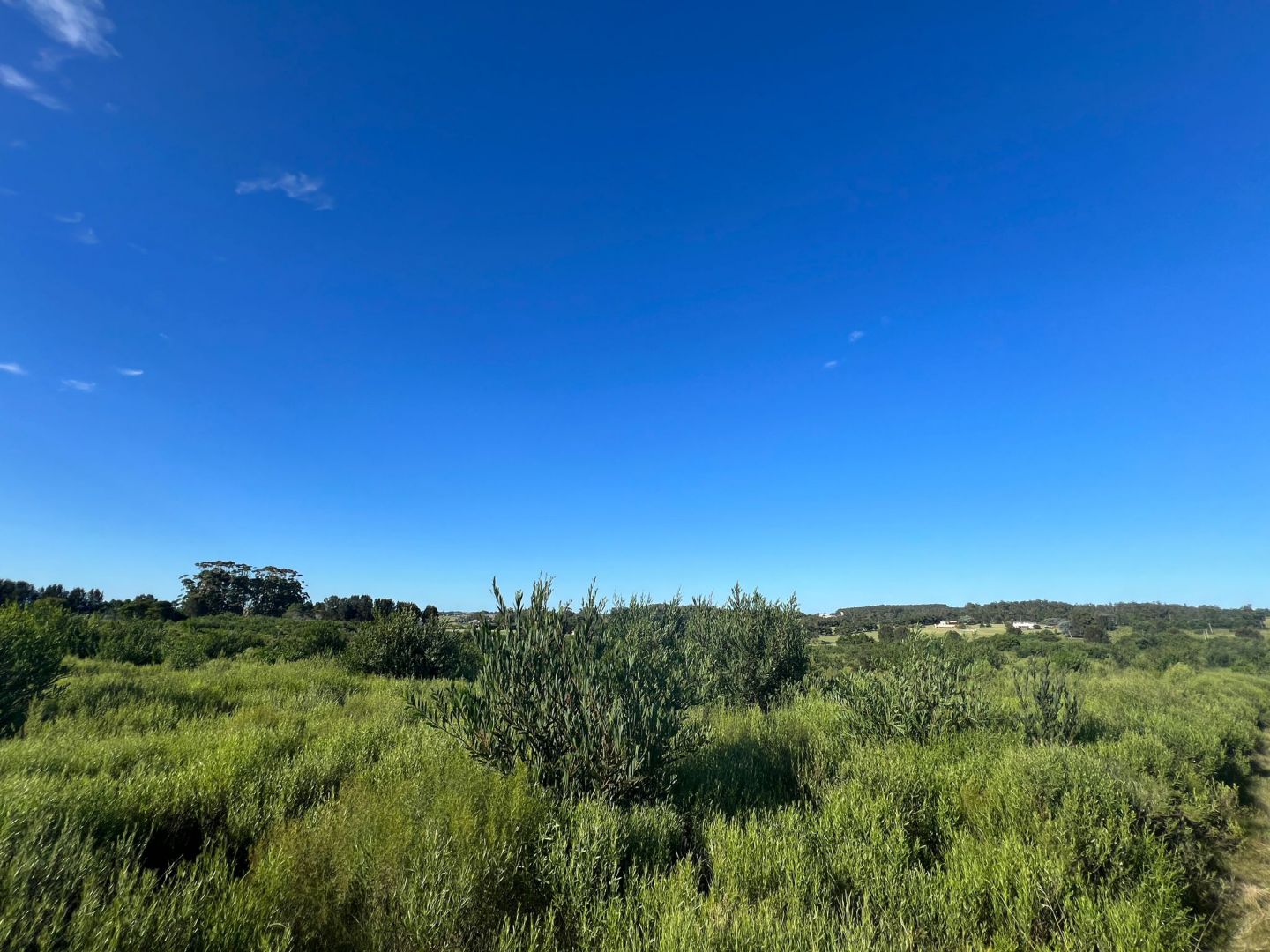 Lote EN VENTA