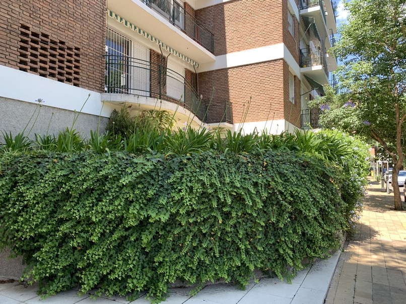 Departamento en Alquiler en San Isidro, G.B.A. Zona Norte