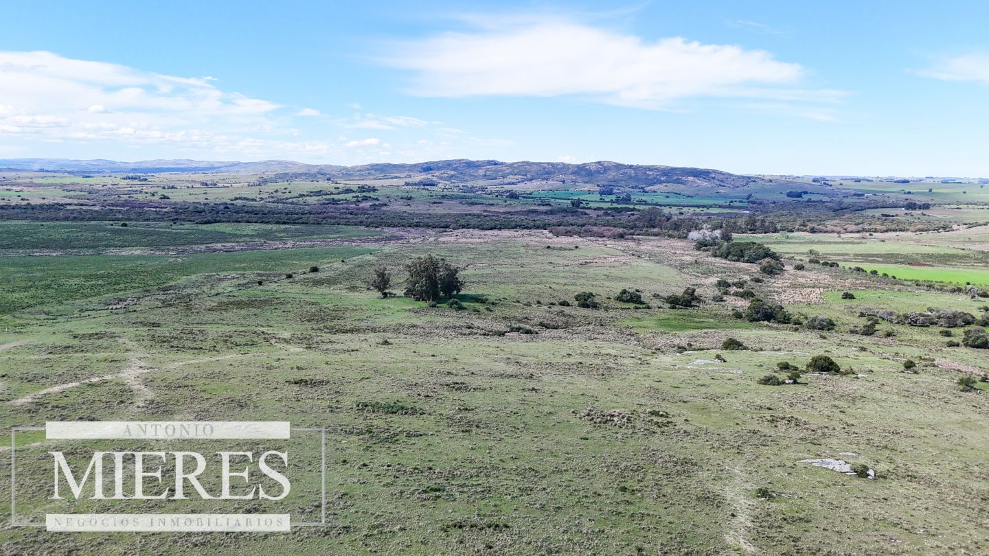 Campo EN VENTA