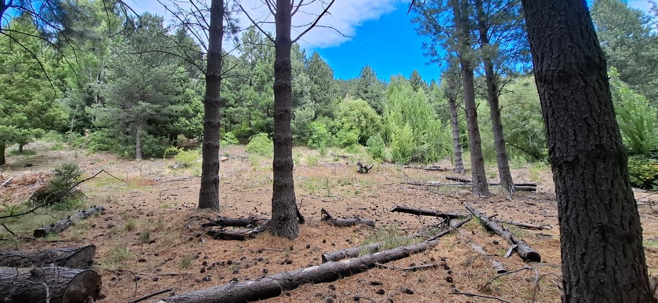Lote en Venta en Lacar, Neuquen