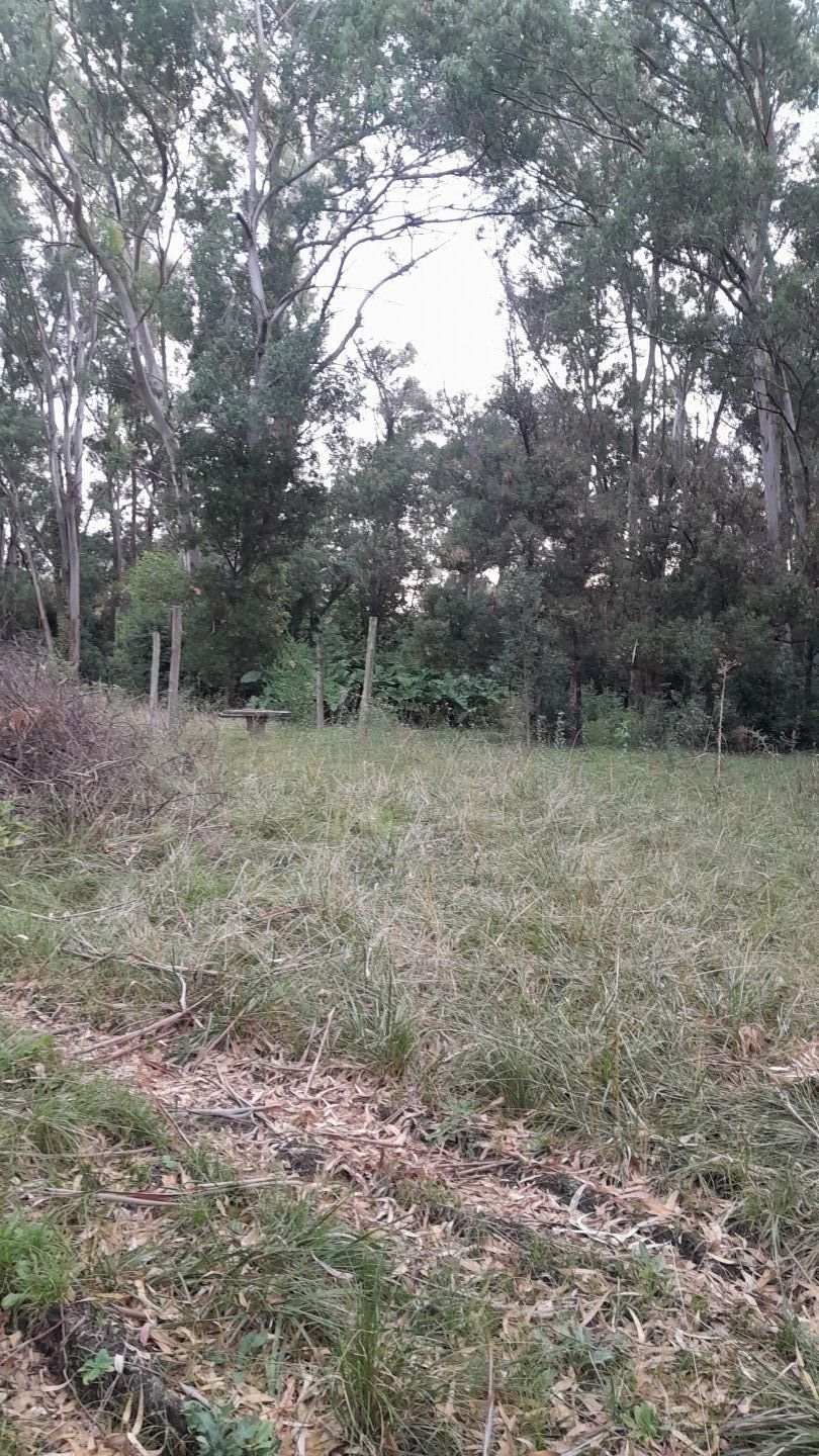 Lote EN VENTA