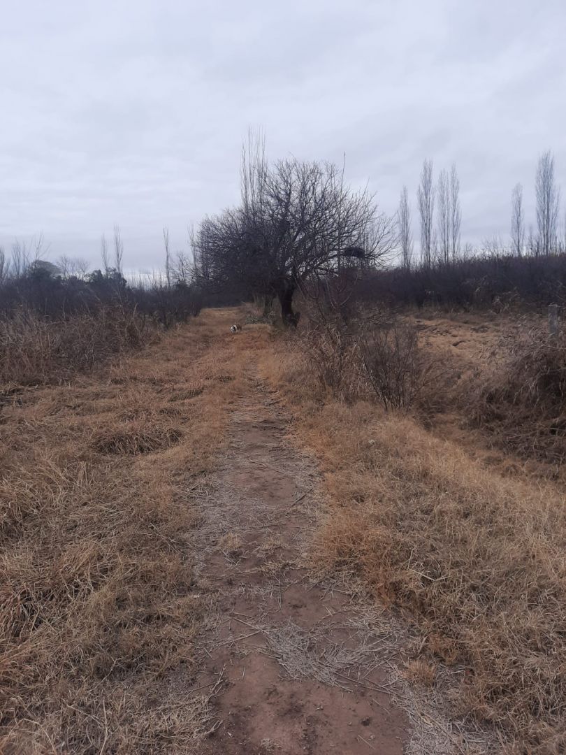 Campo en Venta en Junin, Buenos Aires Interior
