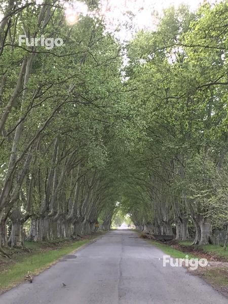 Lote en Venta en Rosario, Santa Fe