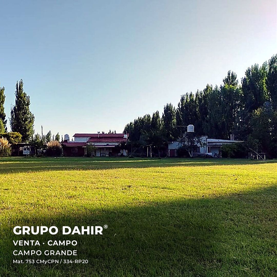 Campo en Campo Grande — foto 1