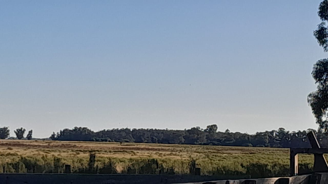 Campo EN VENTA