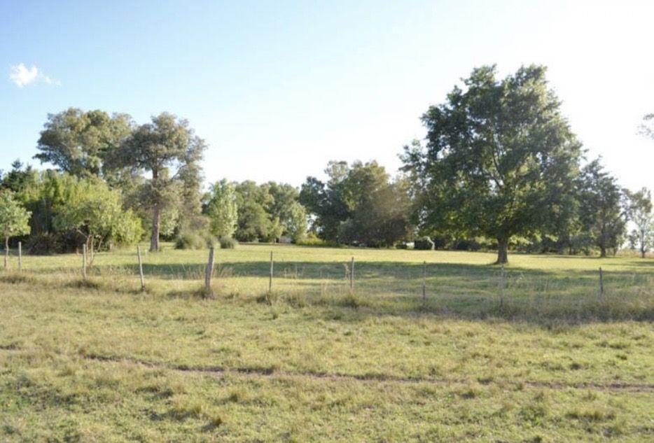 Campo EN VENTA
