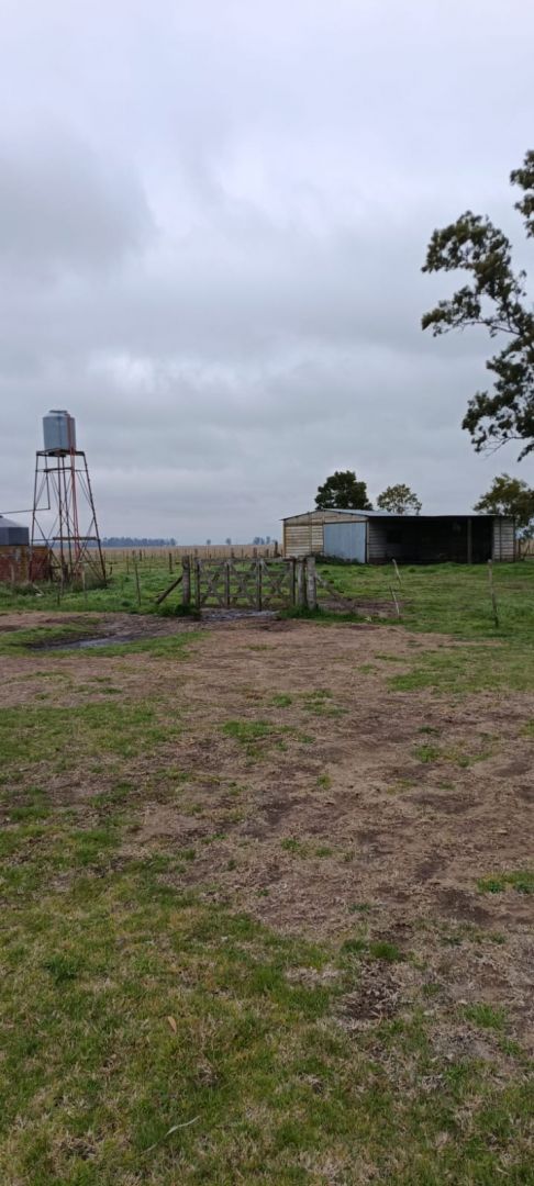 Campo en RUTA 61