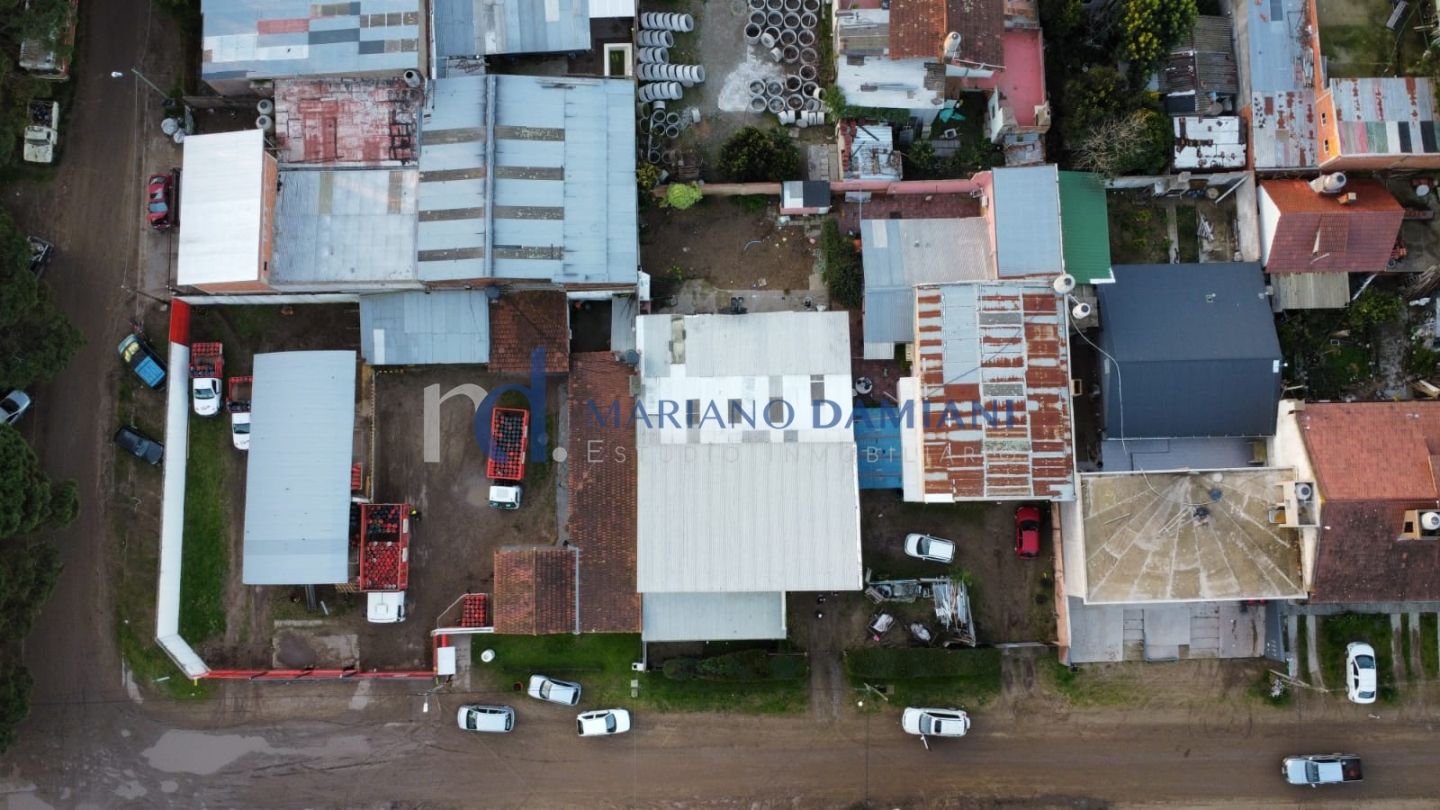 Imagen 4