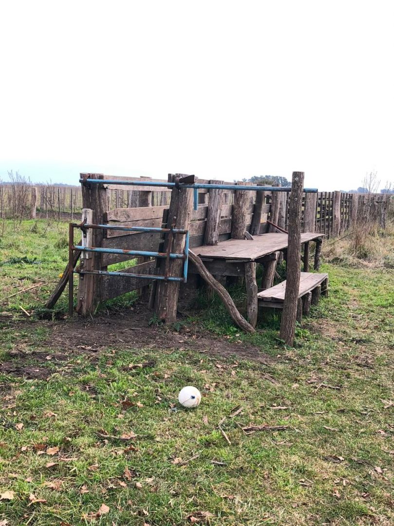 Campo en Ruta 58