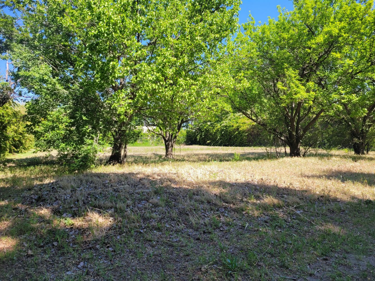 Lote EN VENTA