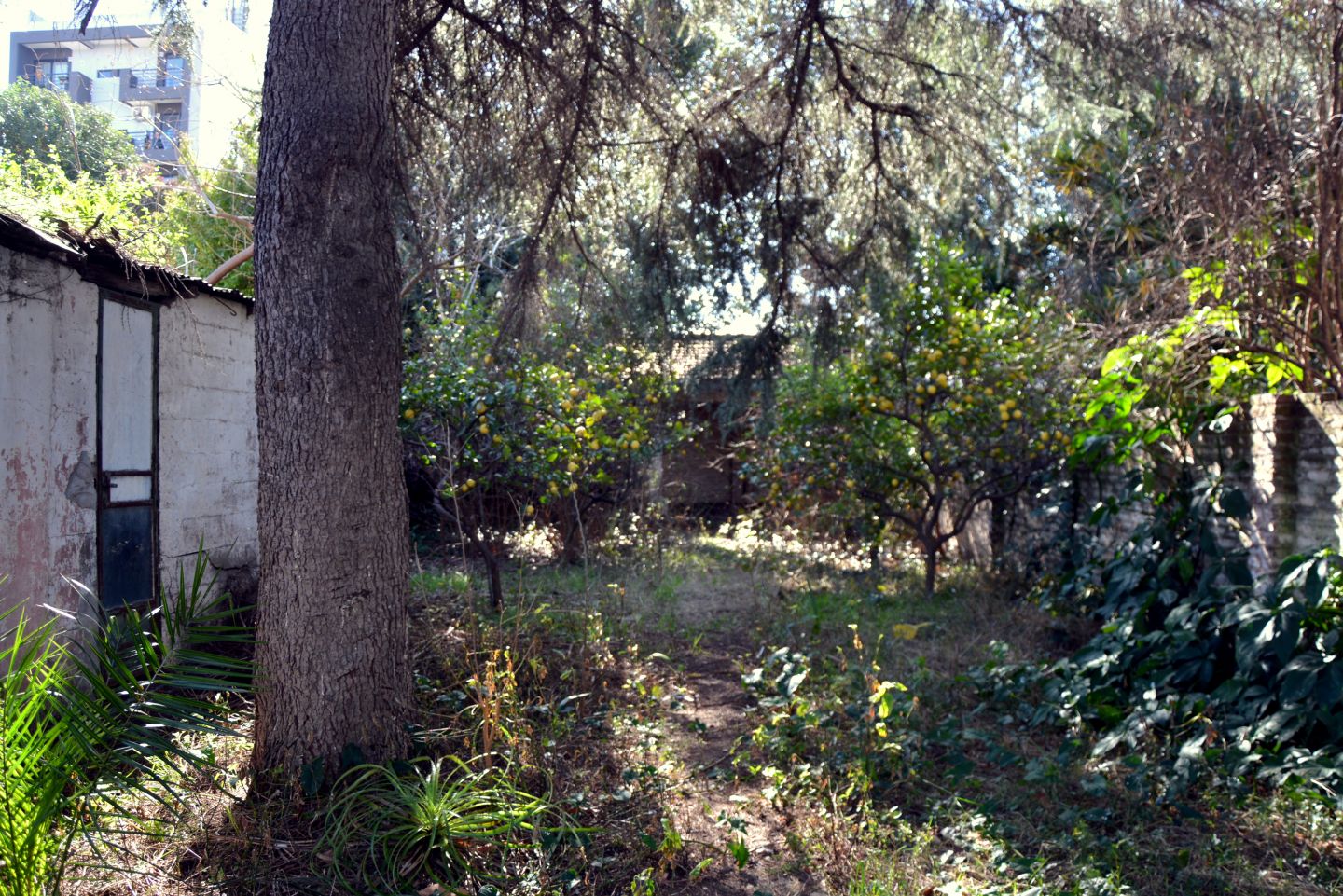 Lote en Venta en Tres de Febrero, G.B.A. Zona Oeste