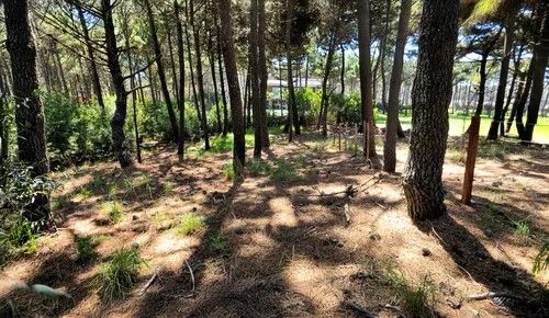 Lote en Venta en Pinamar, Buenos Aires Costa Atlantica