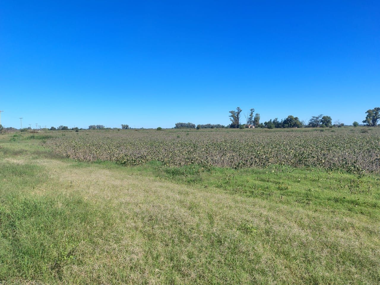Campo en Venta en Zarate, G.B.A. Zona Norte